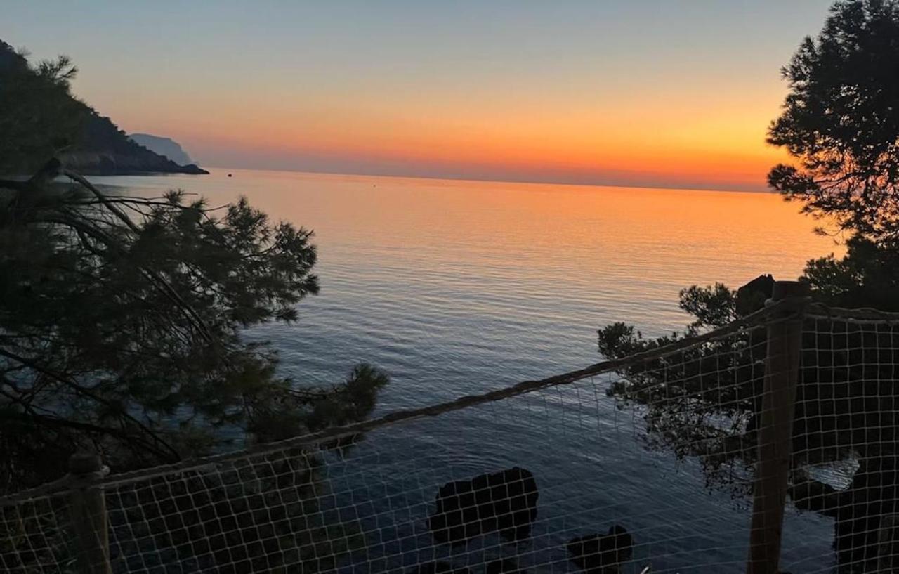 Villa Banyalbufar Buitenkant foto